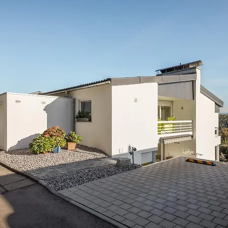Designapartment Vitibuck Waldshut-Tiengen